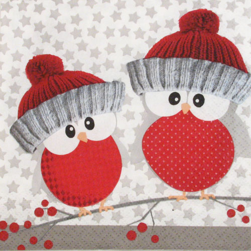 Salveta Owls with winter hats  BP4
