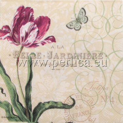 Salveta Tulipa C60