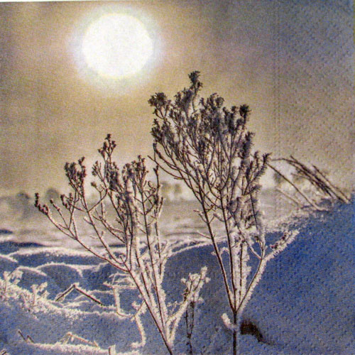 Salveta "A winter day" ZI7