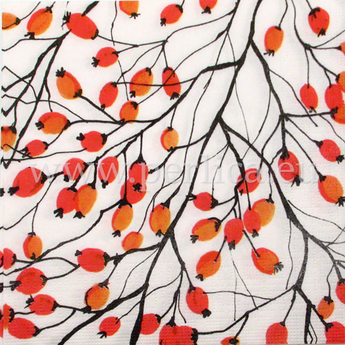 Salveta "Aquarell Rosehips"  CJ6