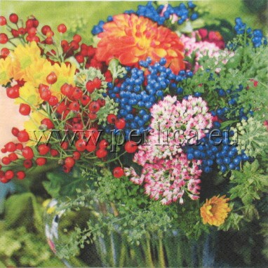 Salveta Giardino C31