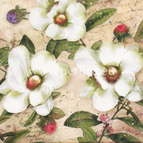 Salveta "Trois Magnolias Blanc" C16