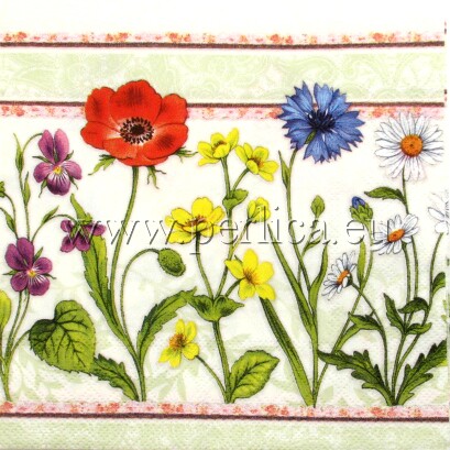 Salveta Field flowers C17