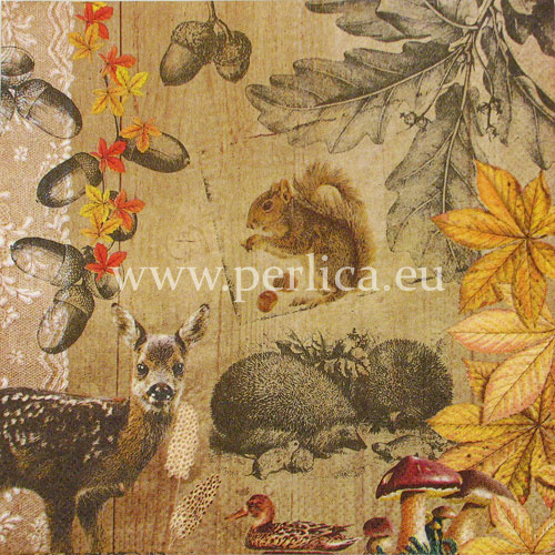 Salveta "Autumn collage" ZS4