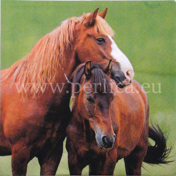 Salveta "Two horses" ZMK1