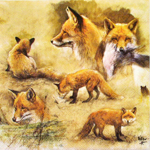 Salveta "Portraits of foxes" ZS8