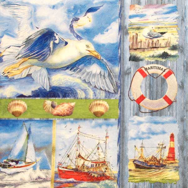 Salveta Coastal Collage MO21