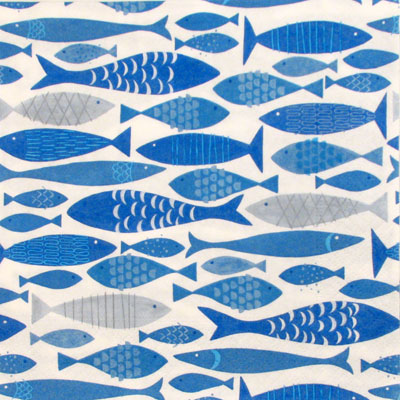 Salveta Shoal of fish MO6