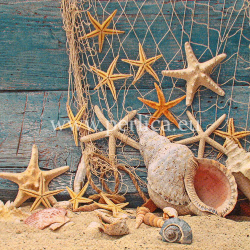 Salveta "Starfish" MO22