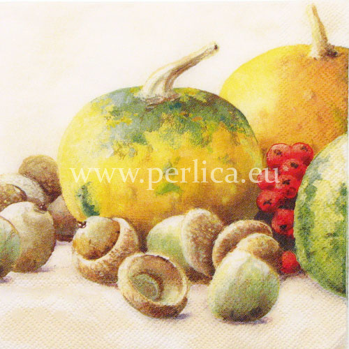 Salveta "Pumpkin and acorns" CJ3