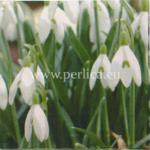 Salveta Snowflakes C57