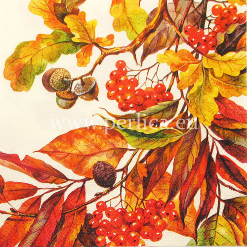 Salveta "Fall colours" CJ2