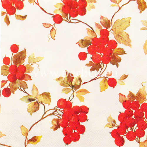 Salveta "Red berries" CJ6