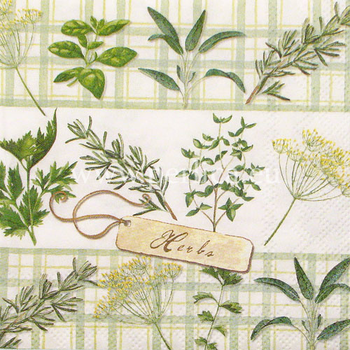 Salveta "Herbs" C53