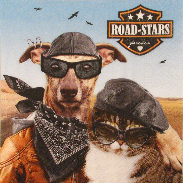 Salveta " Road stars" ZD1
