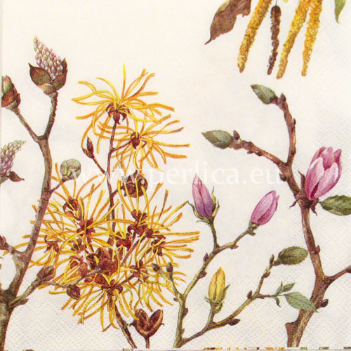 Salveta "Spring branches" C42
