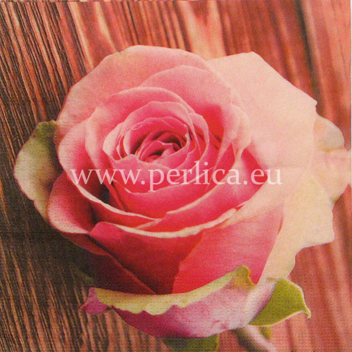 Salveta "Rose Passion" CR16
