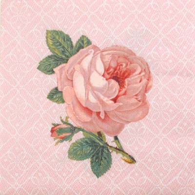 Salveta Portrait of rose CR6