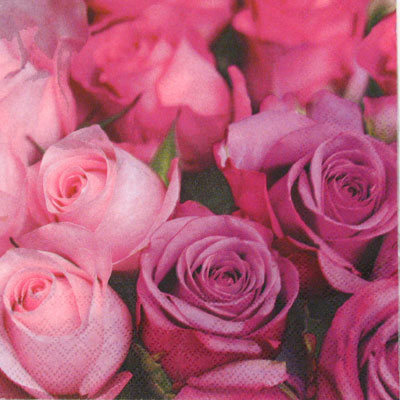 Salvete Bunch of roses, CR14