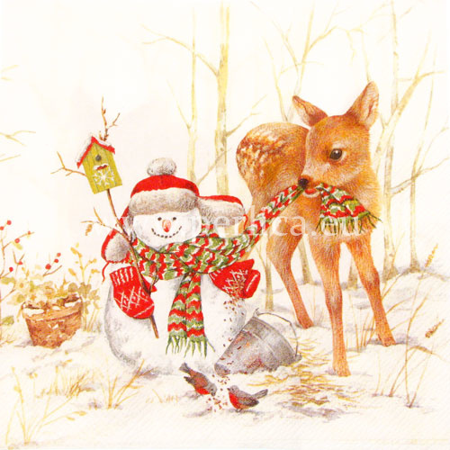 Salveta "Little freezing snowman" BZJ4