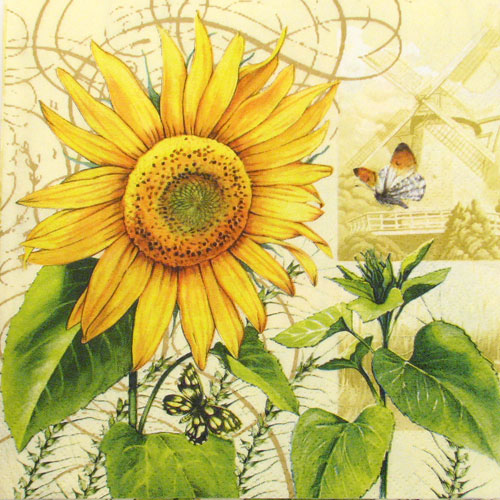 Salveta "Tournesol" C60
