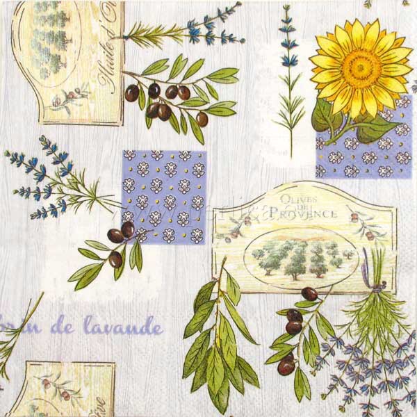 Salveta Provence MAS2