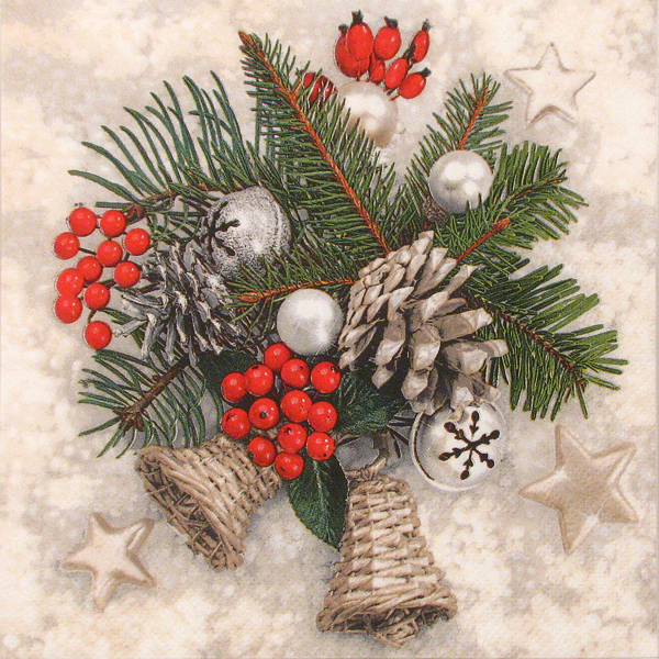 Salveta Xmas winter decor ZI15