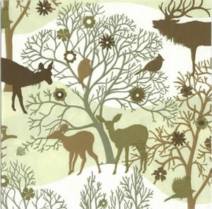 Salveta_4c6eaf1f62537.jpg