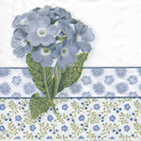 Salveta_4cec474cc0167.jpg