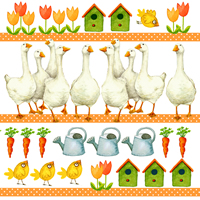 Salveta_4d39e7d638532.jpg