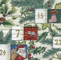 Salveta_Adventsk_4e25e78eb1d4e.jpg