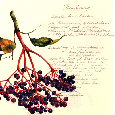 Salveta_Autumn_R_51c747b0b14e0.jpg
