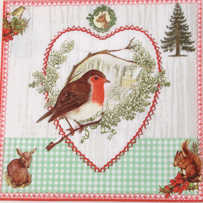 Salveta_Birds_an_51e306a189a12.jpg