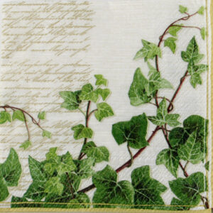 Salveta Tendril cream C50