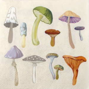 Salveta_Fungus___514341d6f0f80.jpg