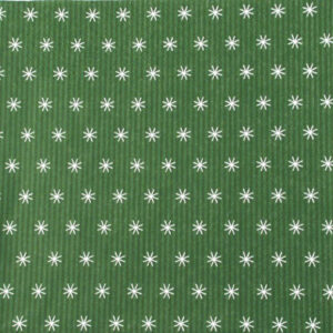 Salveta_Green_St_51e5a24e0230f.jpg