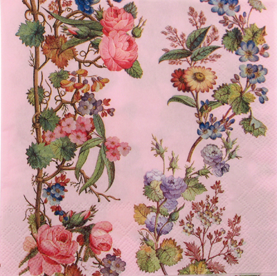Salveta_La_Viole_4d8d0ec053fd3.jpg