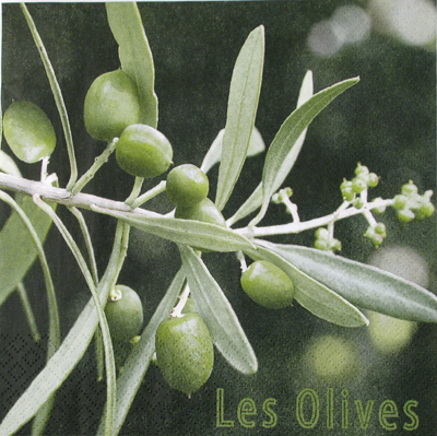 Salveta_Masline__4f9c20edd7888.jpg