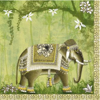 Salveta_Mumbai_512e08441106f.jpg