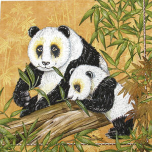 Salveta_Panda_4ee0f79a29bf5.jpg