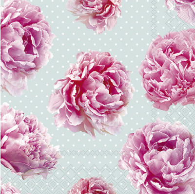 Salveta_Peonies_512e05a35d991.jpg