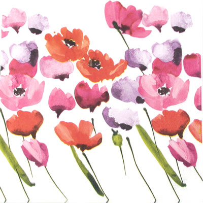 Salveta_Poppies__51eaf73ba04e6.jpg