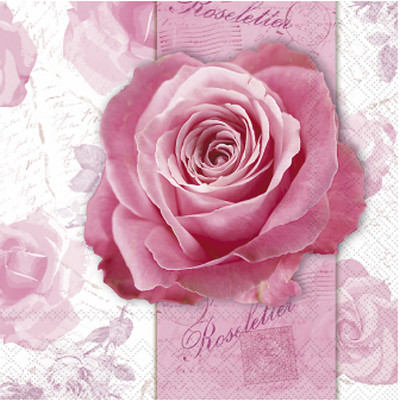 Salveta_Roselett_512dfca5e6264.jpg