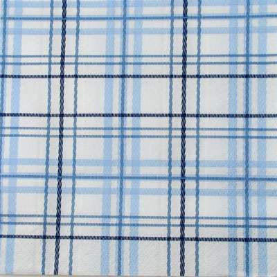 Salveta_Scottish_5177f163626f5.jpg