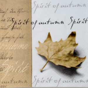 Salveta_Spirit_o_4f6b79783ec4c.jpg