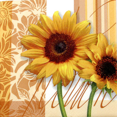 Salveta_Suncokre_4f19b59526ed5.jpg