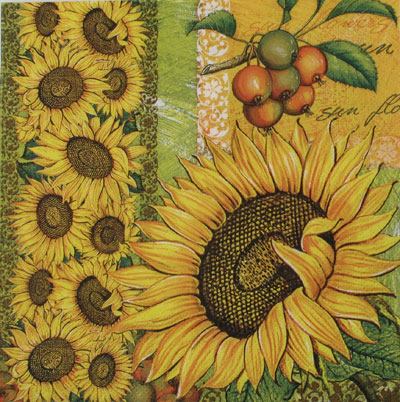Salveta_Suncokre_515b2a09c0932.jpg