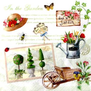 Salveta__Dans_le_500ee58cdec1a.jpg