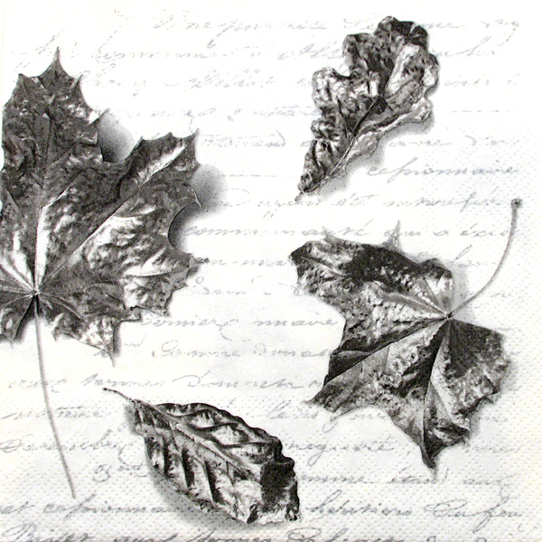 Salveta Luisance white silver, G27