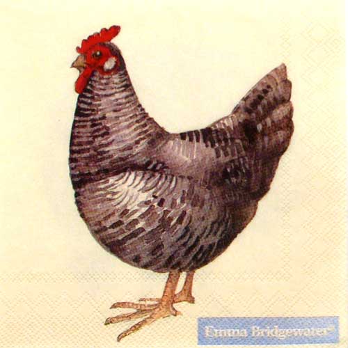 Salveta Hens PT13